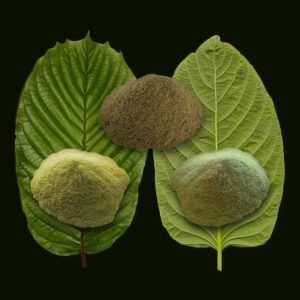 3-kratom-powder-on-leaf