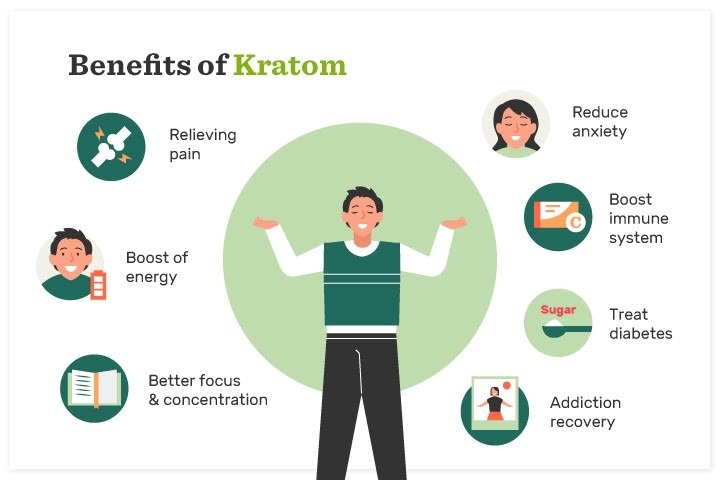 Benefits of Taking Kratom Powder, Is Kratom safe For Health?